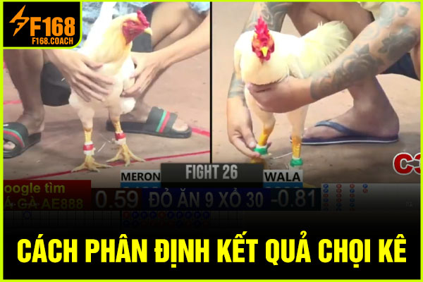 Cách phân định kết quả chọi kê Cách phân định kết quả chọi kê