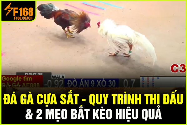 Đá Gà Cựa Sắt | Quy Trình Thi Đấu & 2 Mẹo Bắt Kèo Hiệu Quả