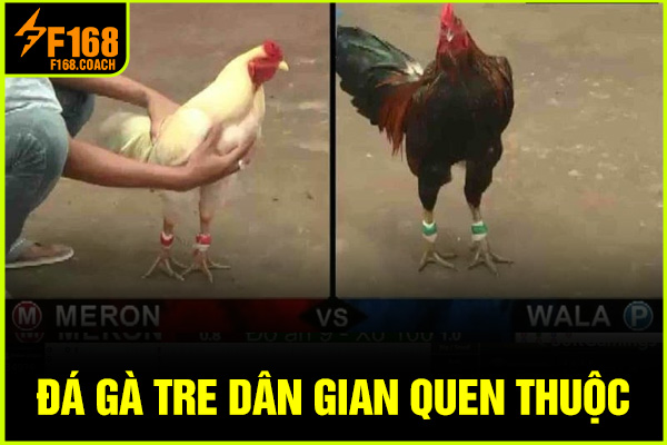 Đá gà tre dân gian quen thuộc Đá gà tre dân gian quen thuộc