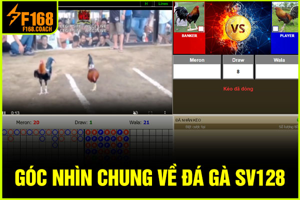 Góc nhìn chung về trang đá gà SV128 Góc nhìn chung về trang đá gà SV128
