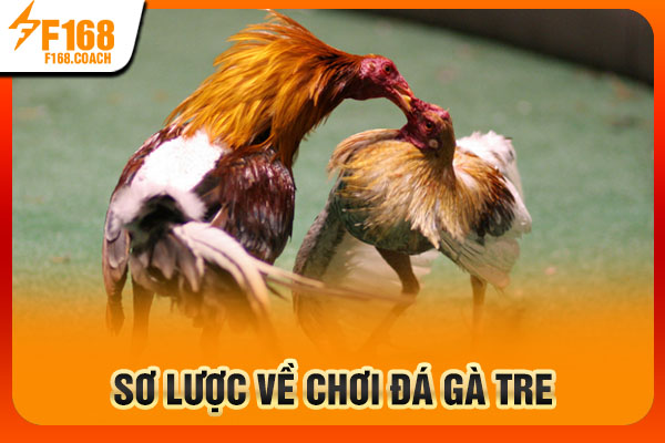 Sơ lược về chơi đá gà tre  Sơ lược về chơi đá gà tre