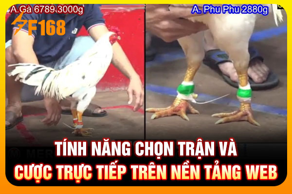 Tính năng chọn trận và cược trực tiếp trên nền tảng web Tính năng chọn trận và cược trực tiếp trên nền tảng web